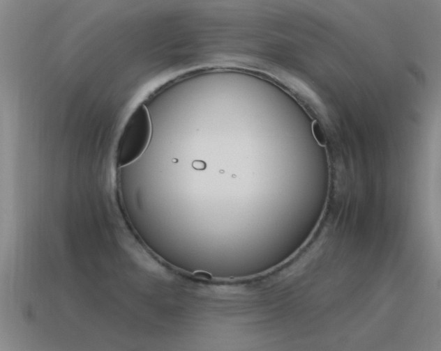 X0000115641280200911101048