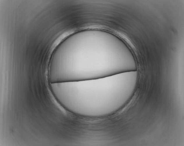 X0000115641282200911101048