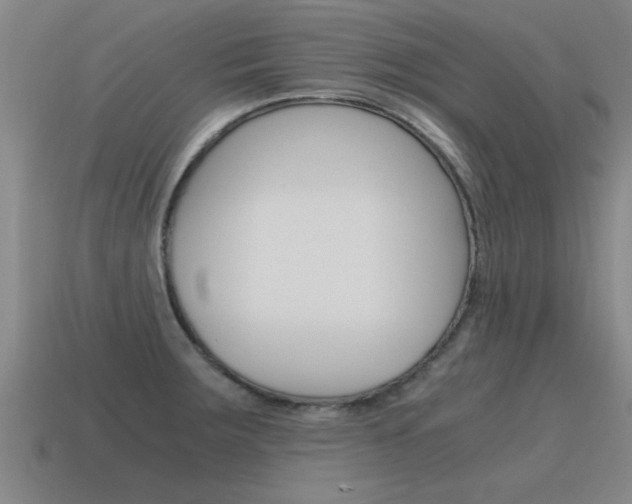 X0000115641283200911101048