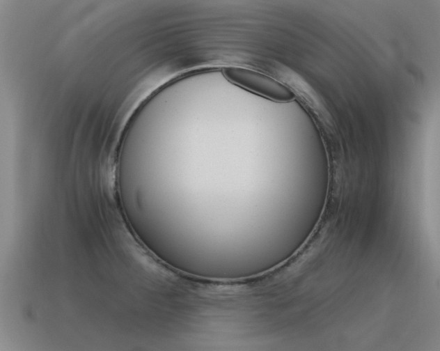 X0000115641284200911101048