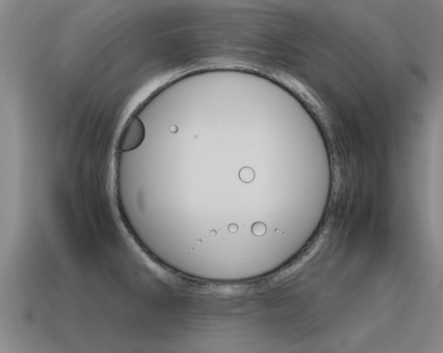X0000115641286200911101048