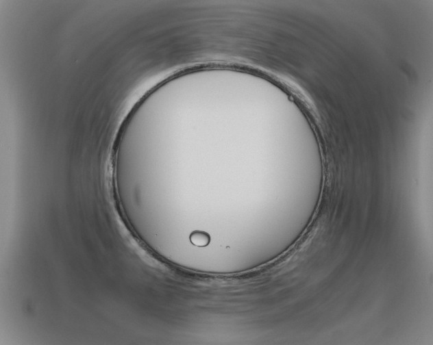 X0000115641287200911101048