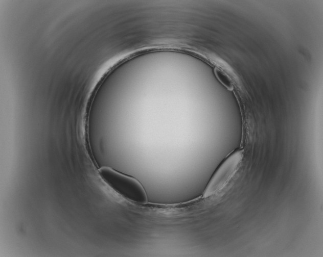 X0000115641288200911101048