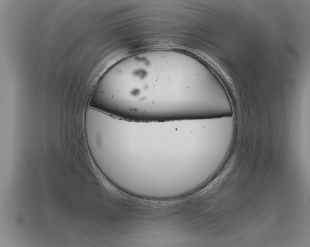 X0000115641289200911101048