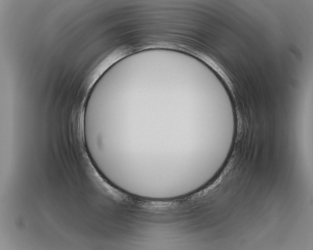 X0000115641290200911101048