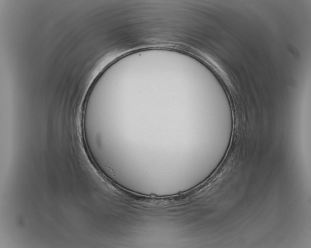 X0000115641291200911101048