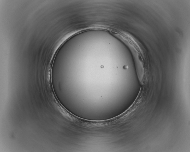 X0000115641292200911101048