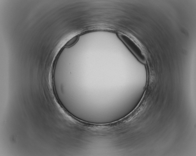 X0000115641293200911101048