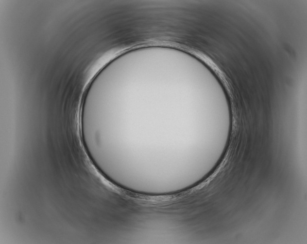 X0000115641294200911101048