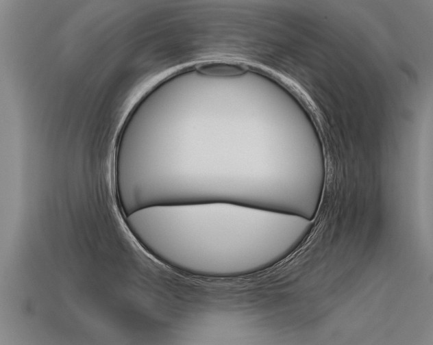 X0000115641295200911101048