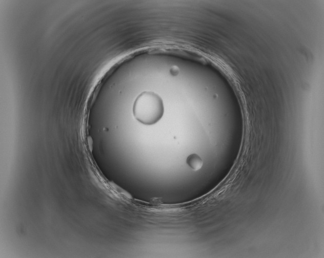 X0000115641296200911101048