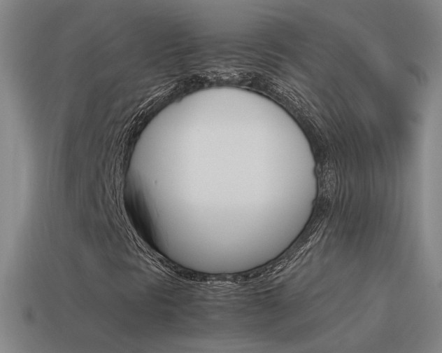 X0000115641297200911101047
