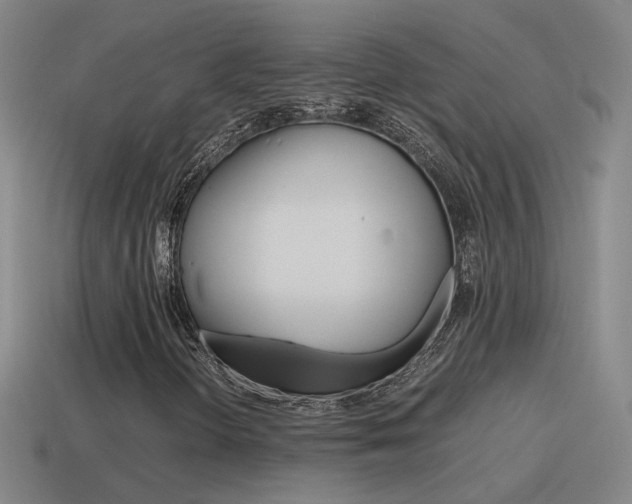 X0000115641298200911101047