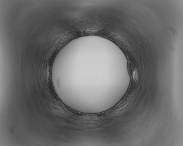 X0000115641299200911101047