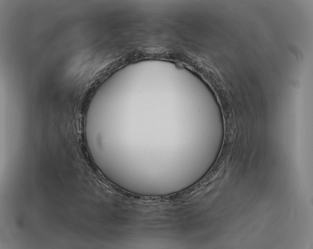 X0000115641301200911101047