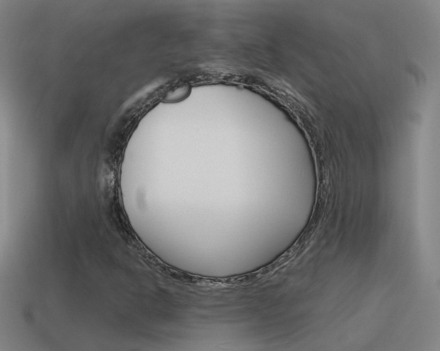 X0000115641302200911101047