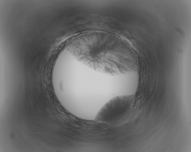 X0000115641303200911101047