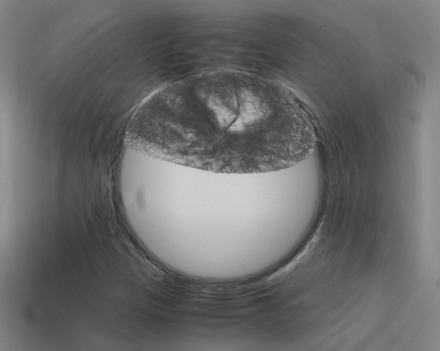 X0000115641305200911101047