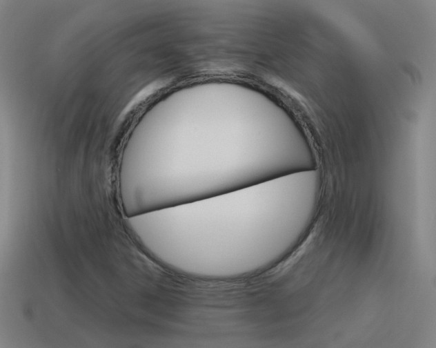 X0000115641306200911101047