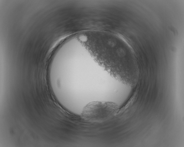 X0000115641307200911101047
