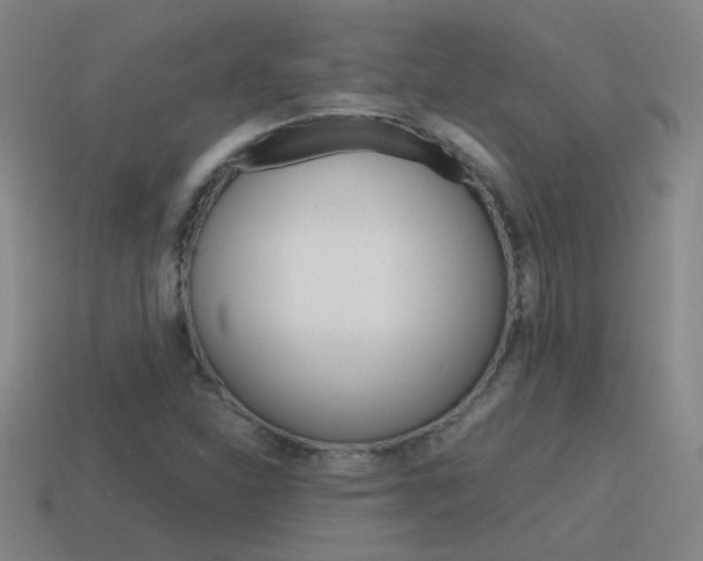 X0000115641310200911101047