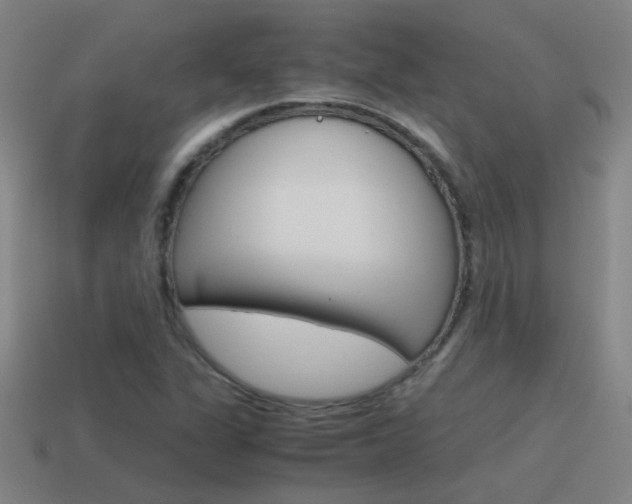 X0000115641311200911101047