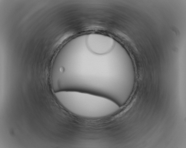 X0000115641313200911101047
