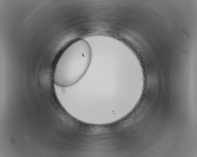 X0000115641314200911101047