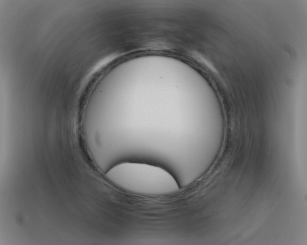 X0000115641315200911101047