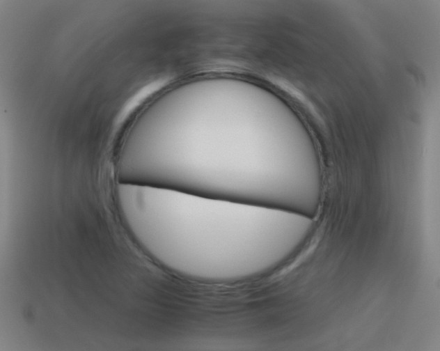 X0000115641317200911101048