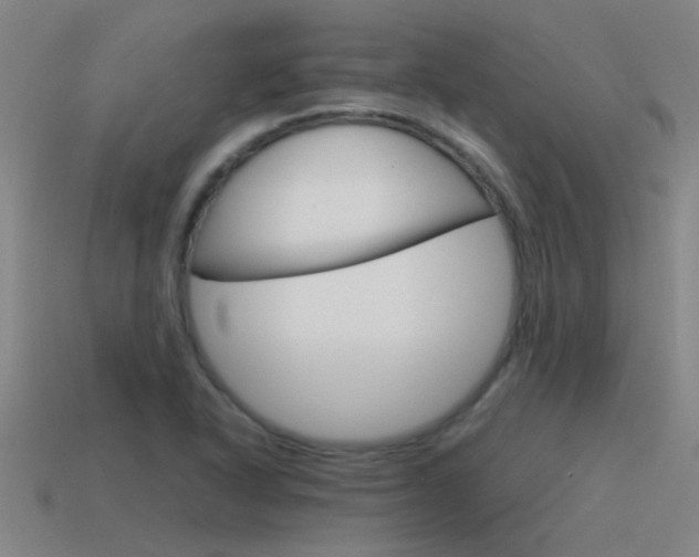 X0000115641318200911101048