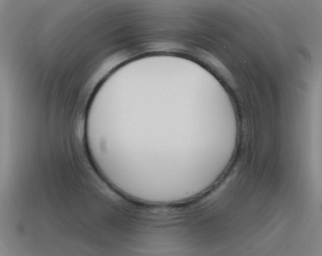 X0000115641322200911101048