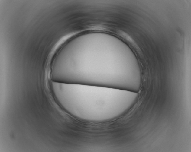 X0000115641323200911101048