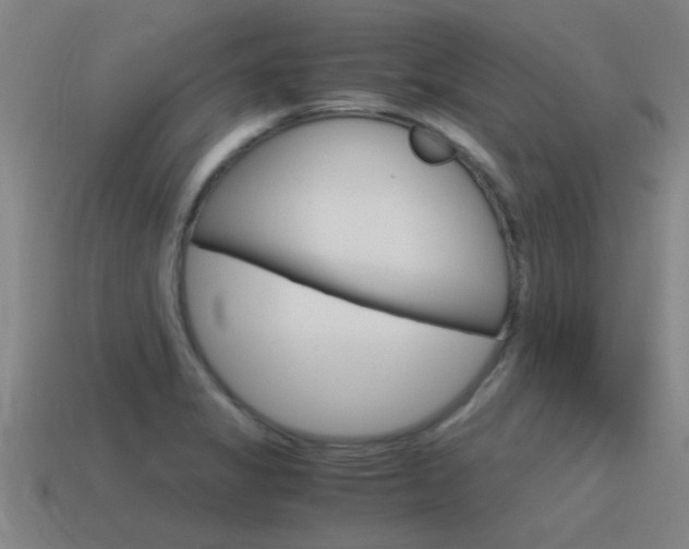 X0000115641325200911101048
