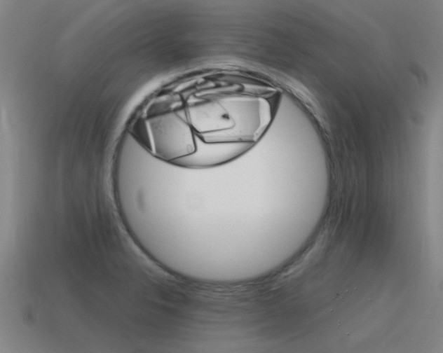 X0000115641326200911101048