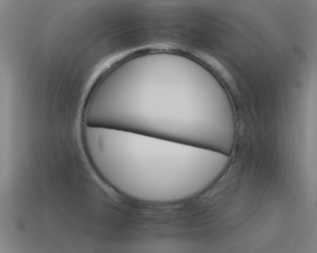 X0000115641327200911101048