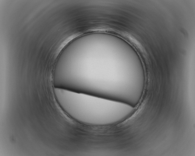 X0000115641329200911101048