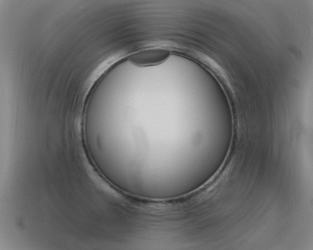 X0000115641330200911101048