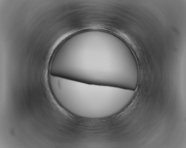 X0000115641331200911101048