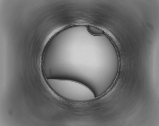 X0000115641333200911101048