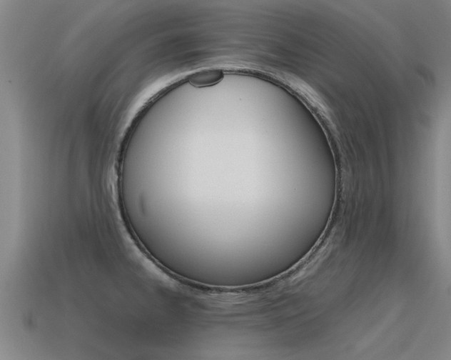 X0000115641334200911101048