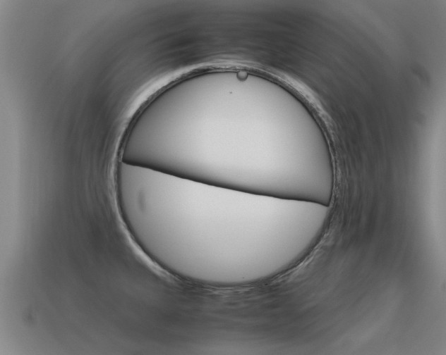 X0000115641335200911101048