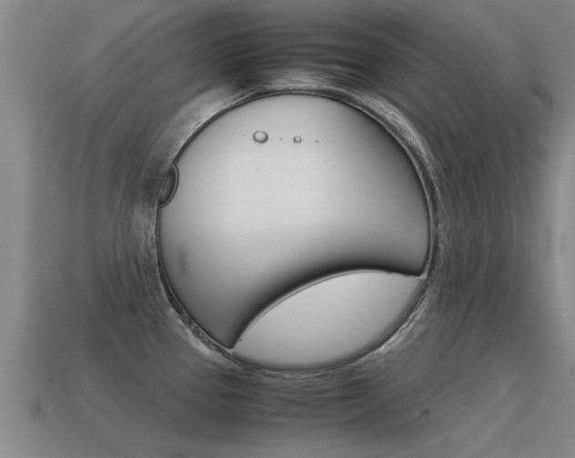 X0000115641337200911101048
