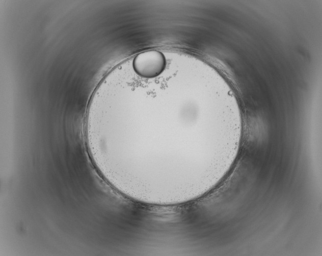 X0000115641338200911101048