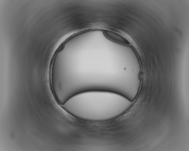 X0000115641339200911101048