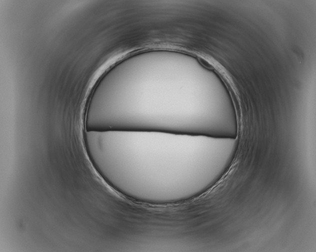 X0000115641341200911101048