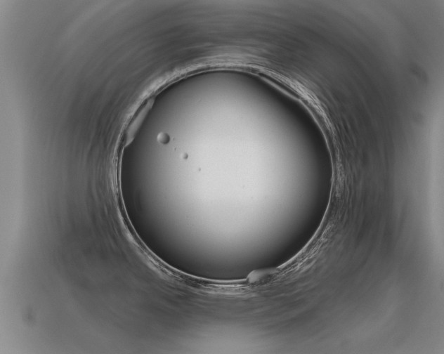X0000115641342200911101048