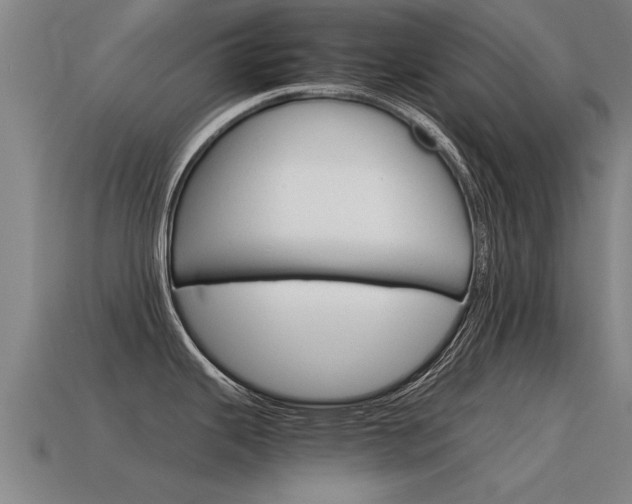 X0000115641343200911101048
