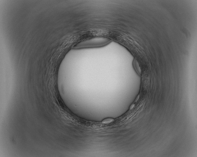 X0000115641345200911101047