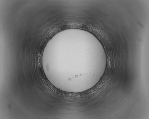 X0000115641346200911101047